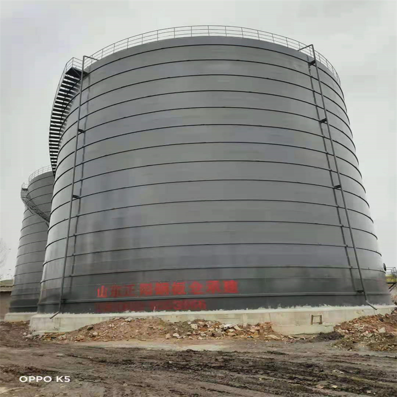 西昌镇3万吨大型钢板库